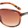 Eyewear-Bloc Eyewear BLOC Bee Sunglasses - Shiny Tortoiseshell-Brown Graduated