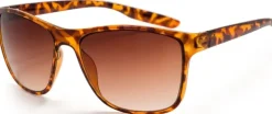 Eyewear-Bloc Eyewear BLOC Cruise 2 Sunglasses - Shiny Tortoiseshell-Brown Graduated