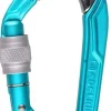 Carabiners & Quickdraws-Edelrid Bulletproof Screw Carabiner - Icemint