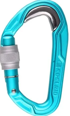 Carabiners & Quickdraws-Edelrid Bulletproof Screw Carabiner - Icemint