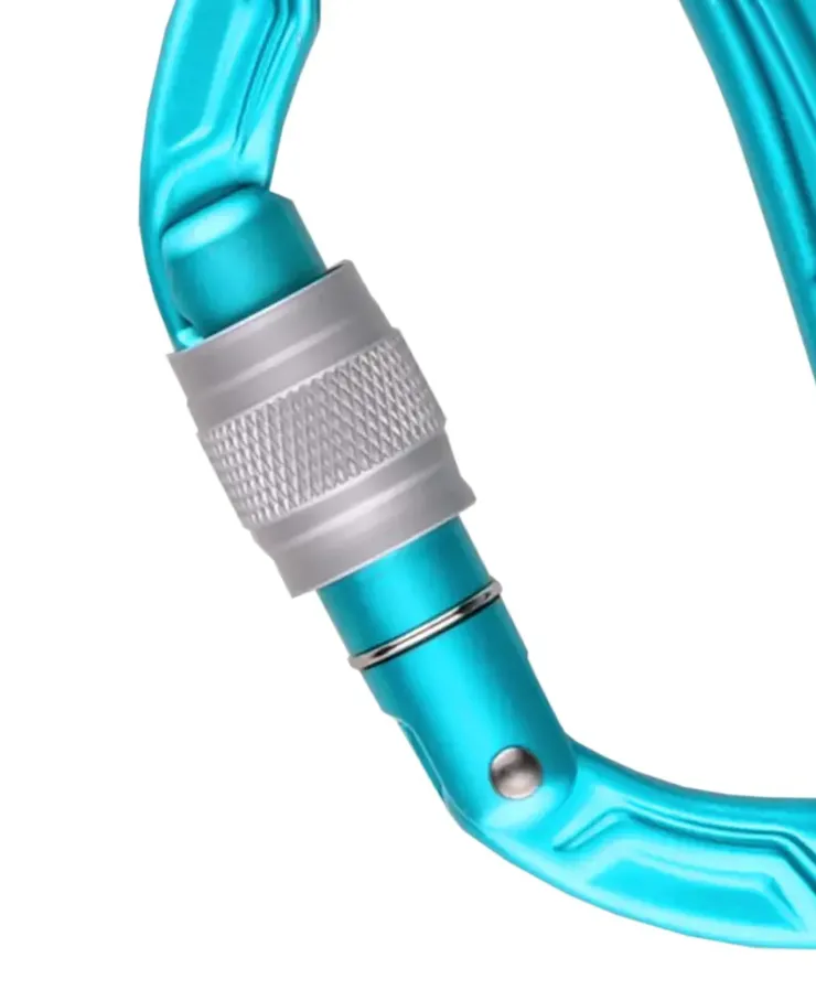 Carabiners & Quickdraws-Edelrid Bulletproof Screw Carabiner - Icemint