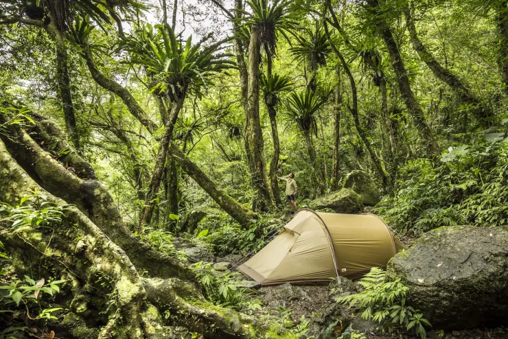 Backpacking & Lightweight Tents-Fjallraven Abisko Lite 3 Tent - Pine Green