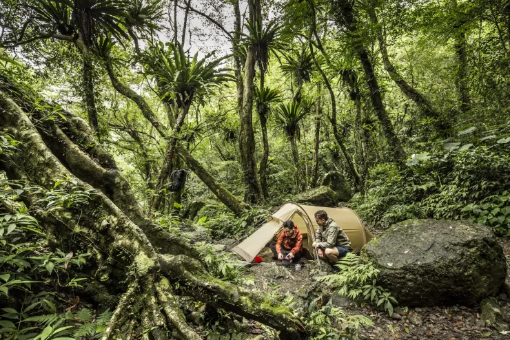 Backpacking & Lightweight Tents-Fjallraven Abisko Lite 3 Tent - Pine Green