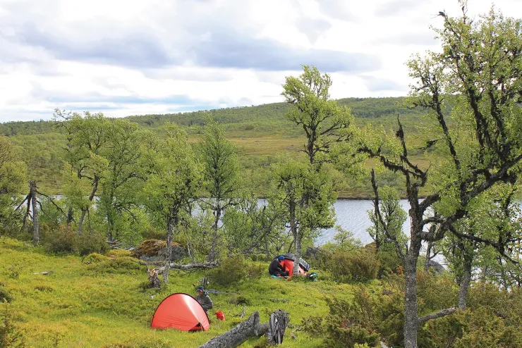 Backpacking & Lightweight Tents-Hilleberg Enan Tent - Sand