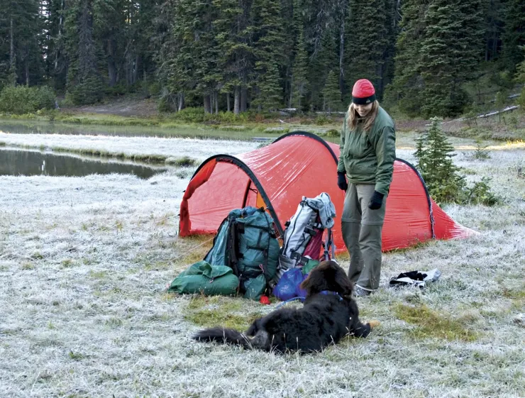 Backpacking & Lightweight Tents-Hilleberg Nallo 4 GT Tent - Green