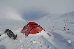 Backpacking & Lightweight Tents-Hilleberg Saitaris Tent - Green