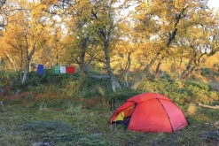 Backpacking & Lightweight Tents-Hilleberg Staika Tent - Green