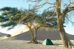 Backpacking & Lightweight Tents-Hilleberg Unna Tent - Green