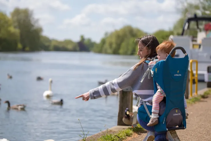 Child Carriers-Littlelife Ranger S2 Child Carrier