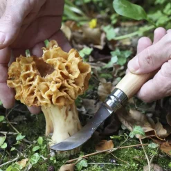 Knives & Multi-Tools-Opinel No.8 Mushroom Knife