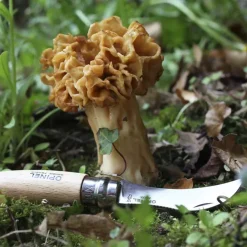 Knives & Multi-Tools-Opinel No.8 Mushroom Knife