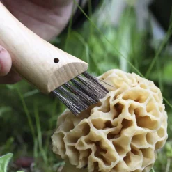 Knives & Multi-Tools-Opinel No.8 Mushroom Knife