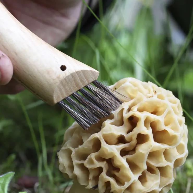 Knives & Multi-Tools-Opinel No.8 Mushroom Knife