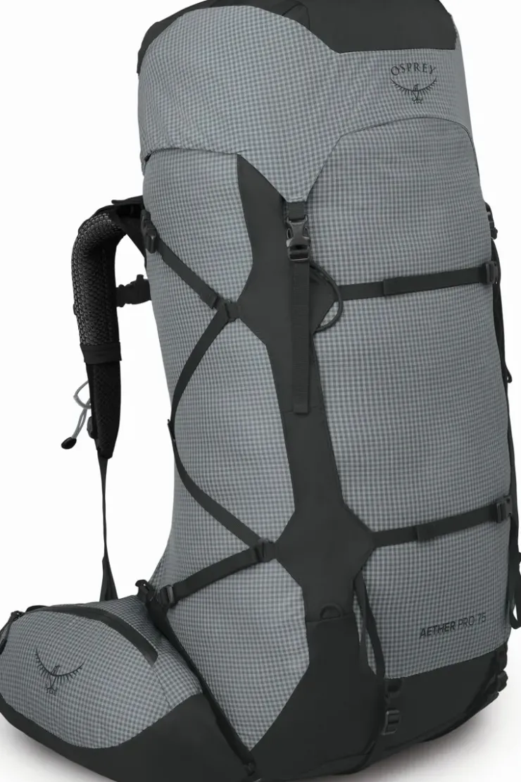 Backpacking Packs-Osprey Aether Pro 75 Rucksack - Silver Lining
