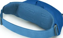 Hip Packs & Crossbody'S-Osprey Daylite Waist Pack - Night Shift