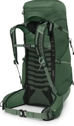 Backpacking Packs-Osprey Talon 44 Rucksack - Green Canopy-Pine Leaf