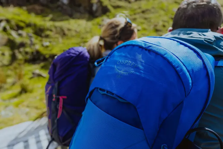 Day Packs-Osprey Talon 22 Rucksack - Green Canopy-Pine Leaf