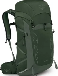 Day Packs-Osprey Talon 33 Rucksack - Green Canopy-Pine Leaf