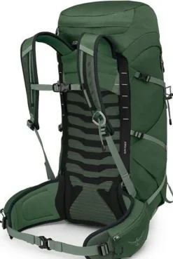 Day Packs-Osprey Talon 33 Rucksack - Green Canopy-Pine Leaf