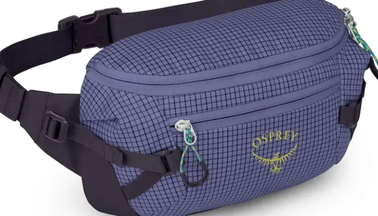 Hip Packs & Crossbody'S-Osprey Transporter Waist Pack - Euphoria Purple