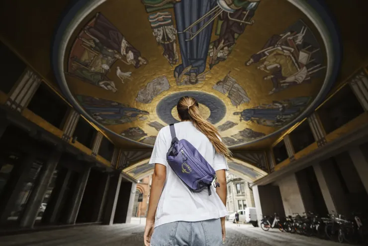 Hip Packs & Crossbody'S-Osprey Transporter Waist Pack - Euphoria Purple