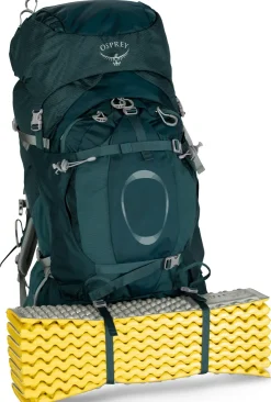 Backpacking Packs-Osprey Womens Ariel Plus 70 Rucksack - Night Jungle Blue