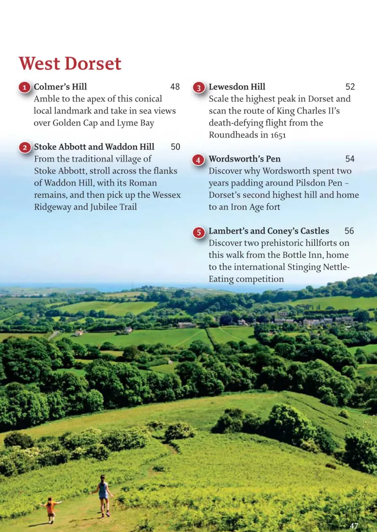 Maps And Books-Pocket Mountains Ltd Pocket Mountains Dorset 40 Coast and Country Walks