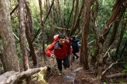 Waterproof Jackets-Rab Mens Firewall Mountain Jacket - Dark Horizon