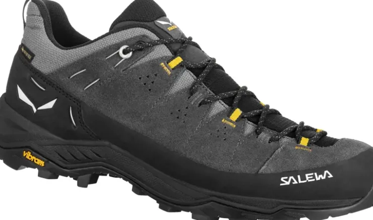 Hiking Shoes & Boots|Approach Shoes-Salewa Mens Alp Trainer 2 GTX Shoes - Onyx-Black