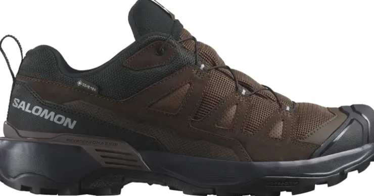 Hiking Shoes & Boots|Walking Shoes-Salomon Mens X Ultra 360 LTR GTX Shoes - Dark Earth-Delicioso-Sharkskin