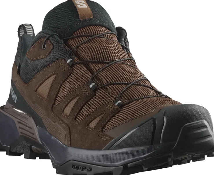 Hiking Shoes & Boots|Walking Shoes-Salomon Mens X Ultra 360 LTR GTX Shoes - Dark Earth-Delicioso-Sharkskin