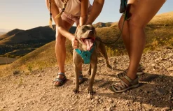 Hiking Shoes & Boots|Sandals-Teva Womens Tirra Sandals - Blue Multi