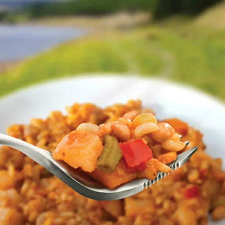 Lunch/ Dinner-Wayfayrer Vegetable Curry and Rice