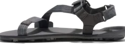 Hiking Shoes & Boots|Sandals-Xero Shoes Mens Z-Trail EV Sandals - Steel Gray-Asphalt