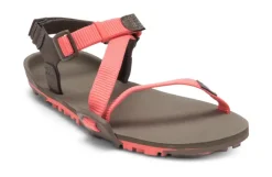 Hiking Shoes & Boots|Sandals-Xero Shoes Womens Z-Trail EV Sandals - Sunset Coral-Morel